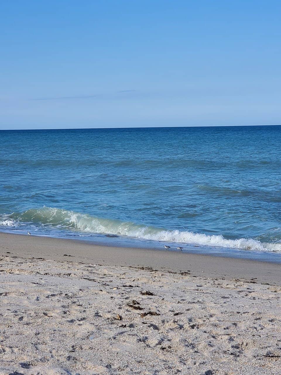 Pirate Ship Playground