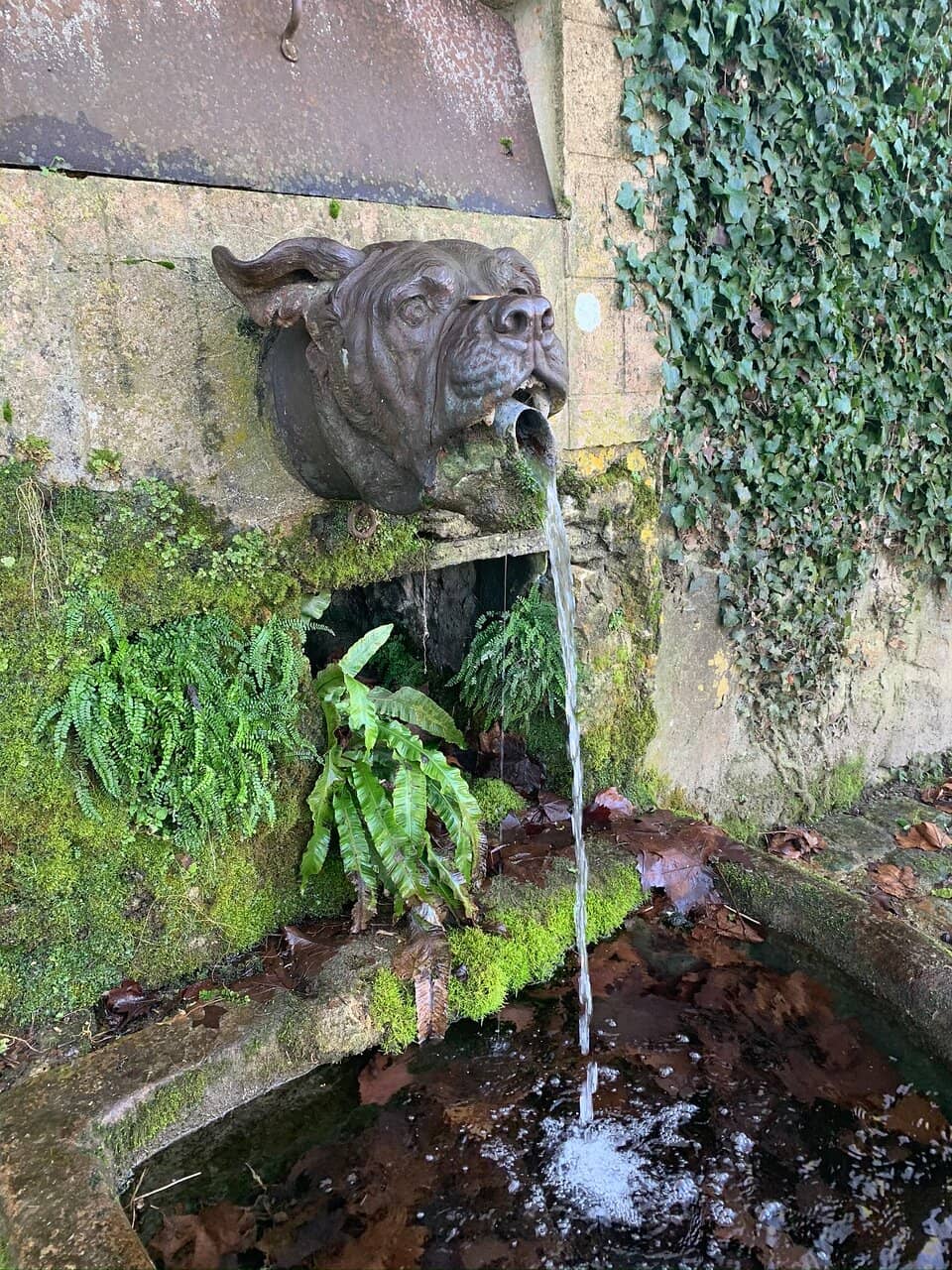 Belleau Wood Battlefield
