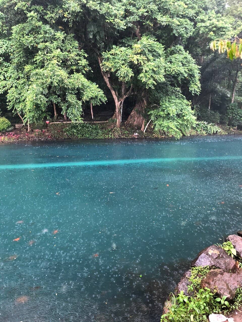 Family-Friendly Playgrounds