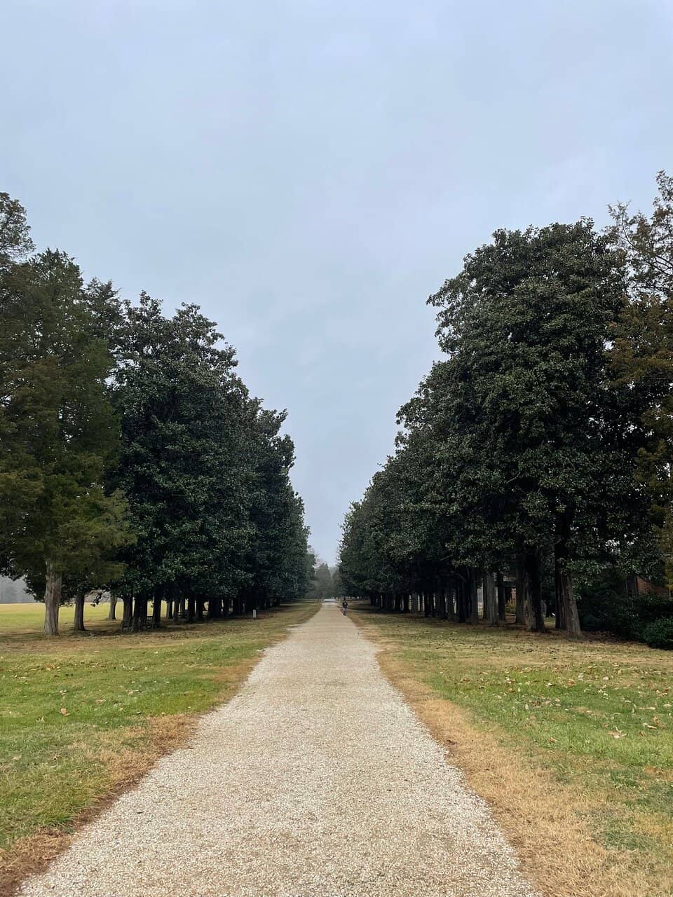 The Historic Grounds