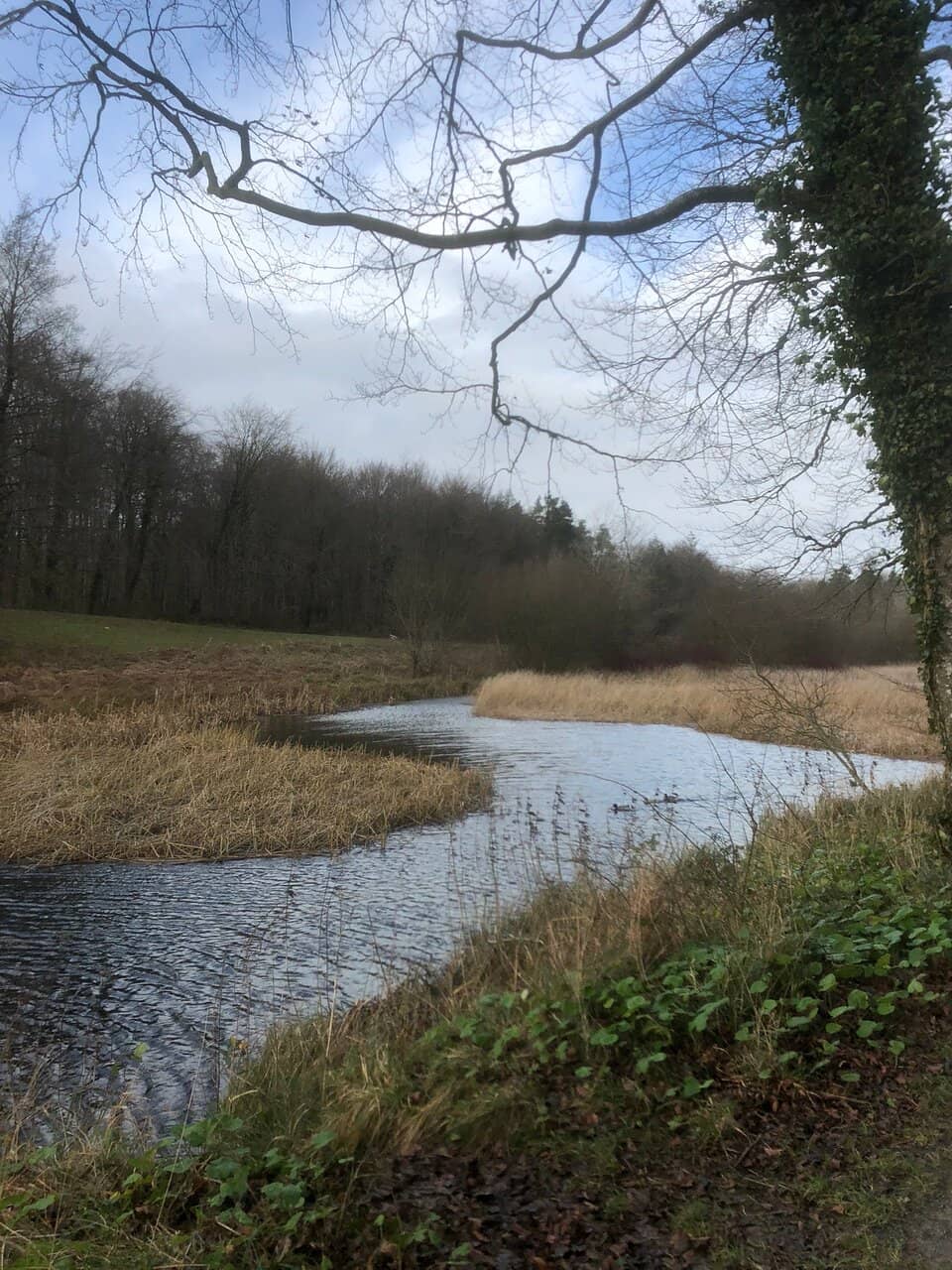 Lakeside Trail