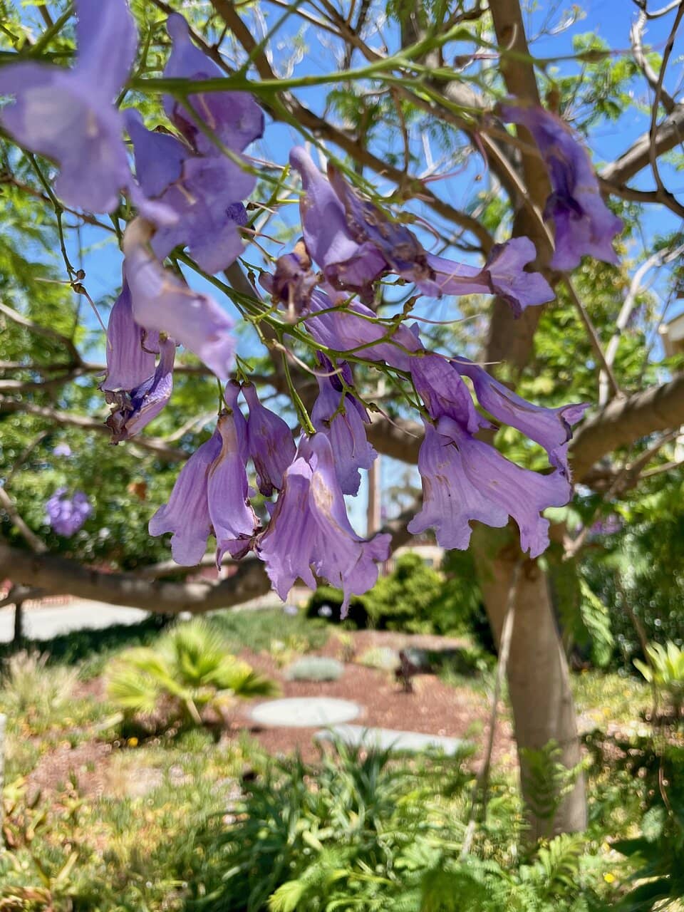 Active Passenger Train Services