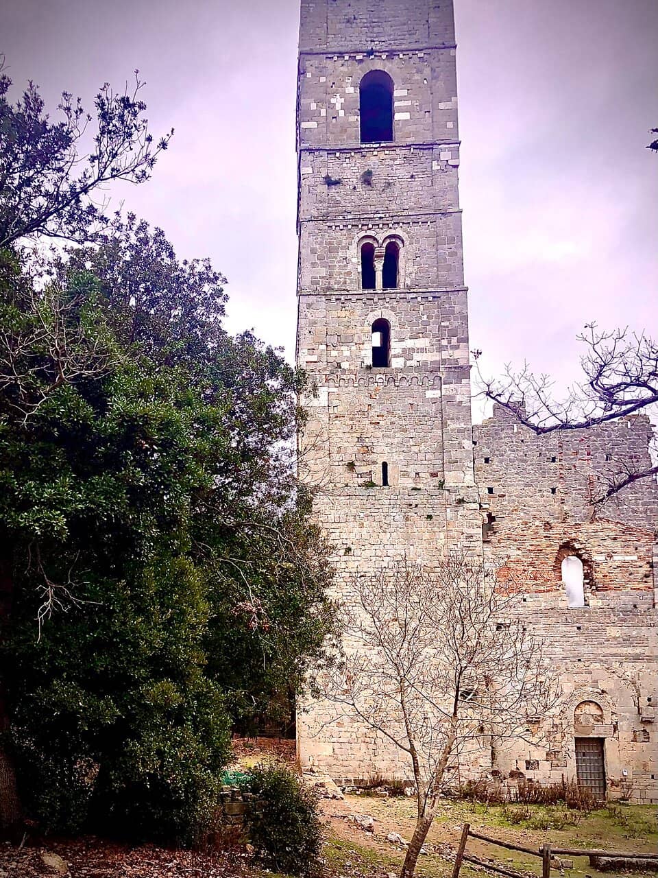 Vertical photo
