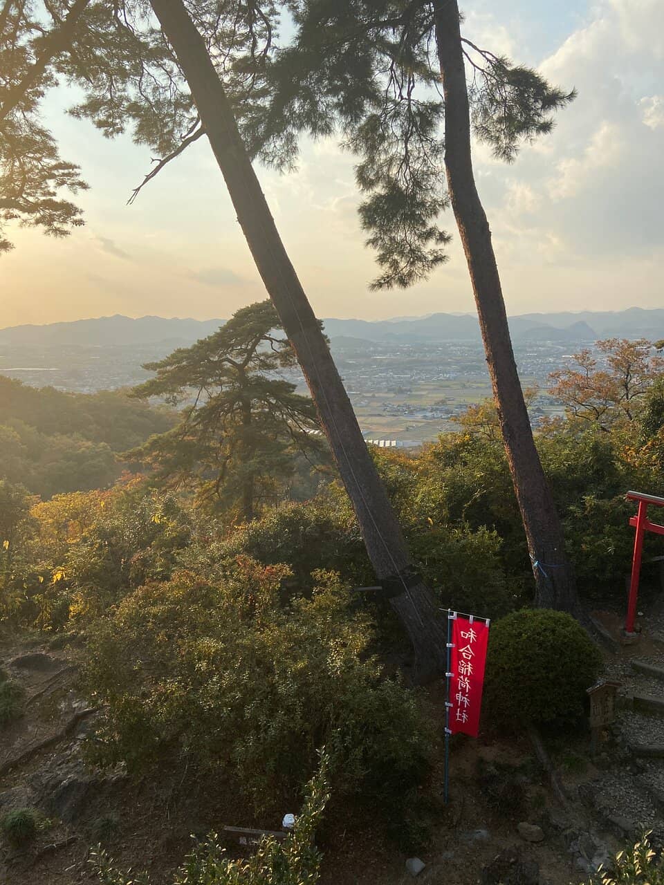 Friendly Resident Cats