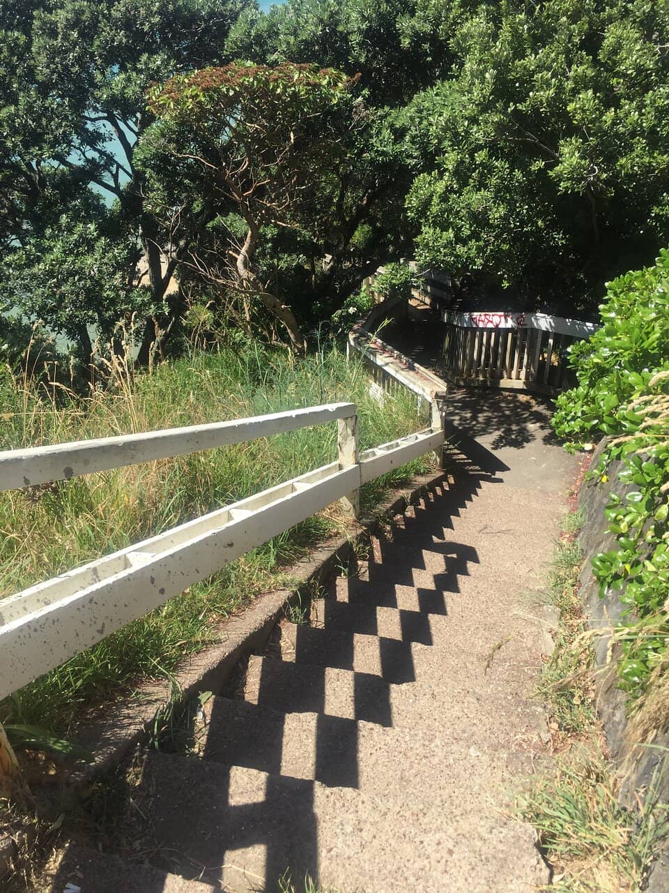 Secluded Beach Below