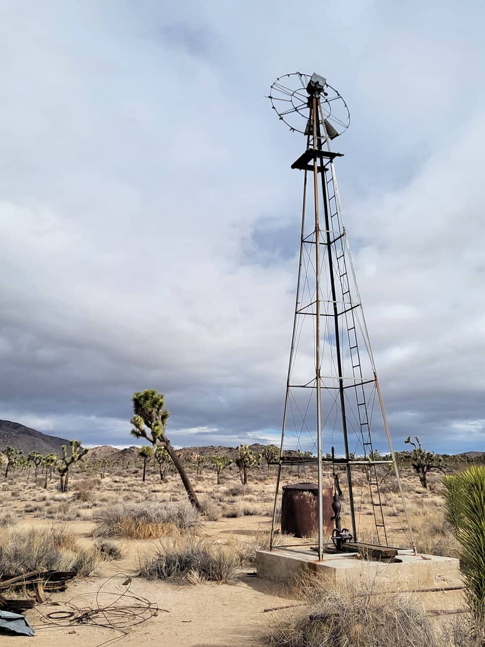 Vertical photo