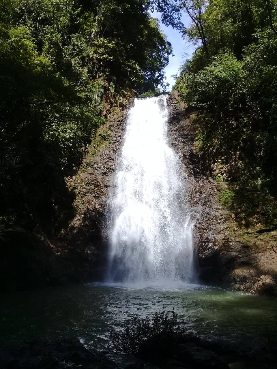 Vertical photo