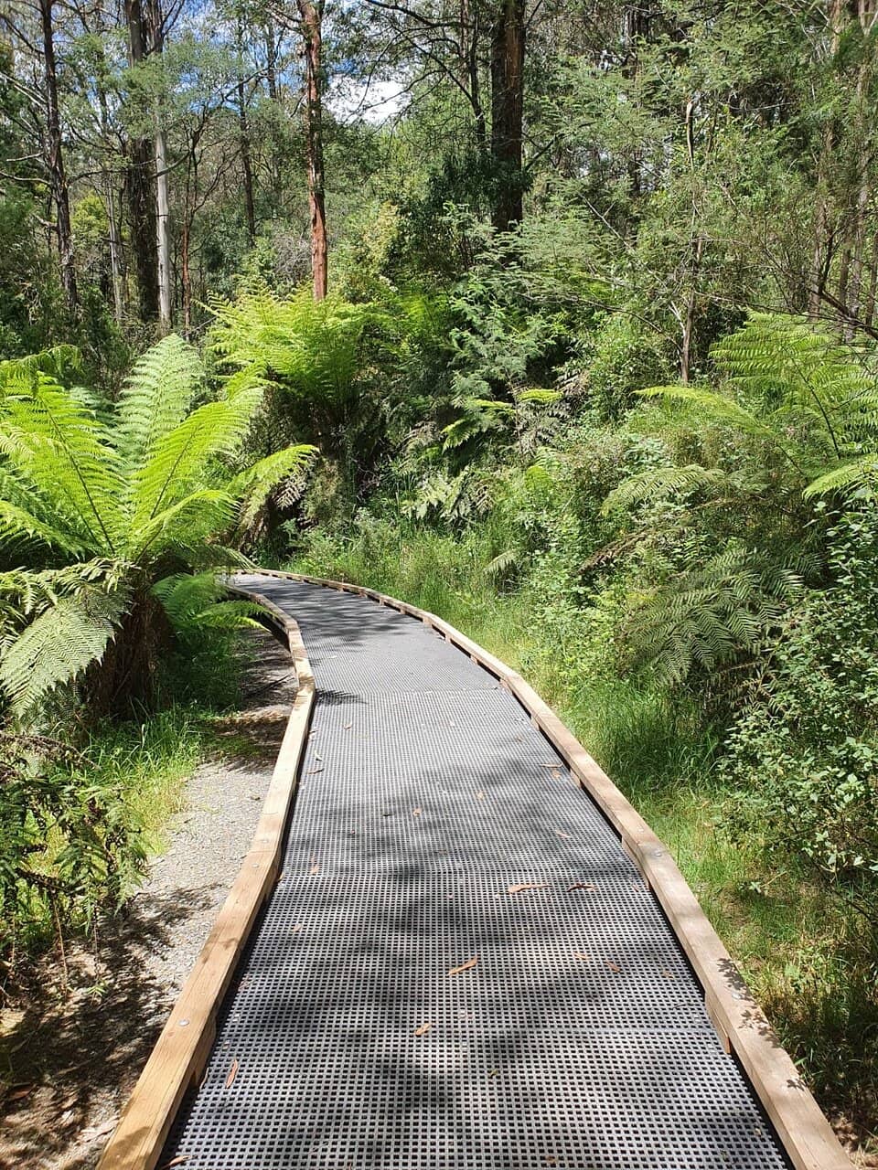 Enchanting Boardwalk Trail
