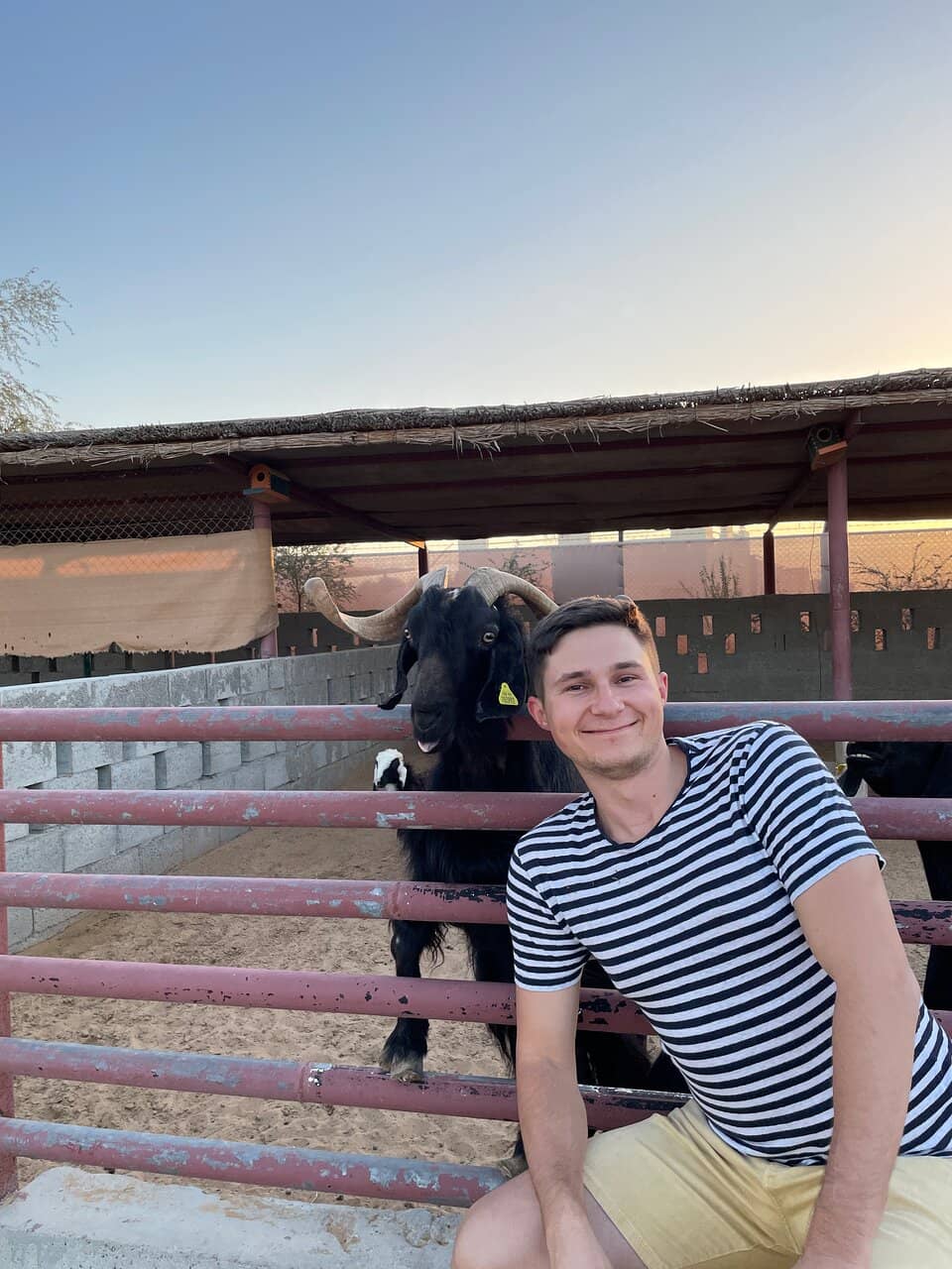 Fresh Camel Milk Delights
