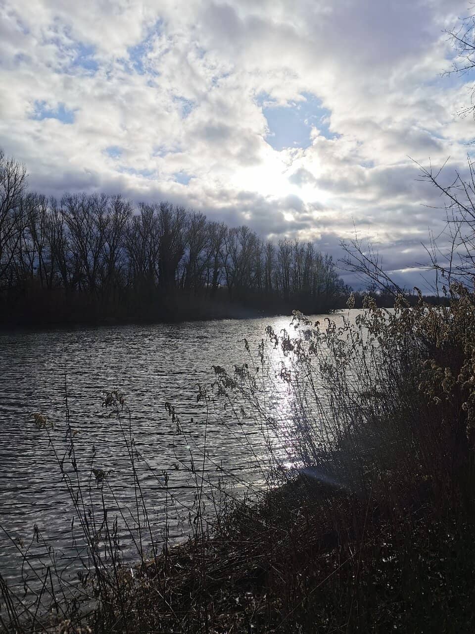 Rhine River Island Serenity