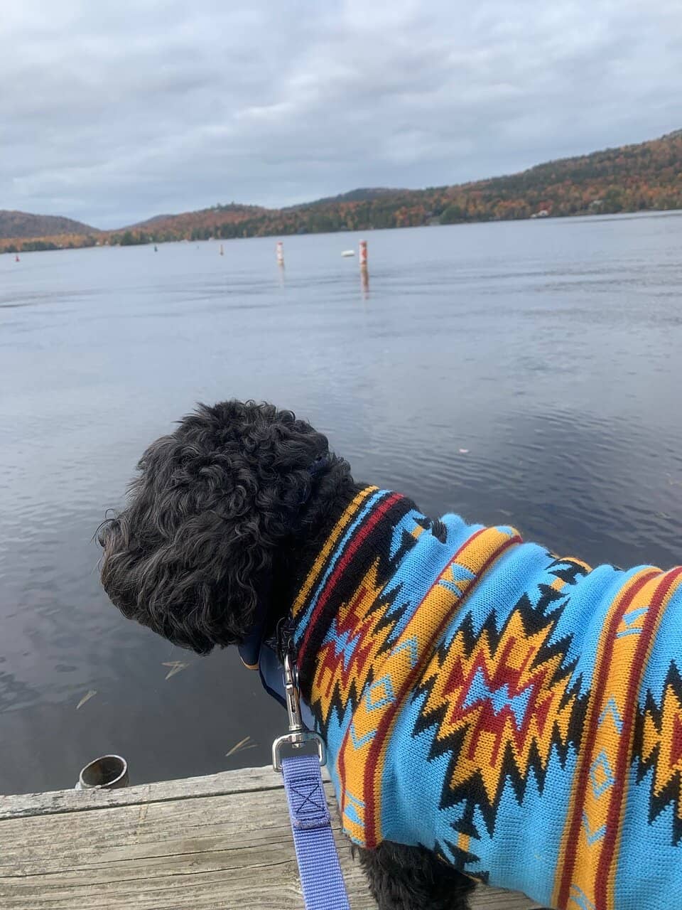 Kid-Friendly Playground