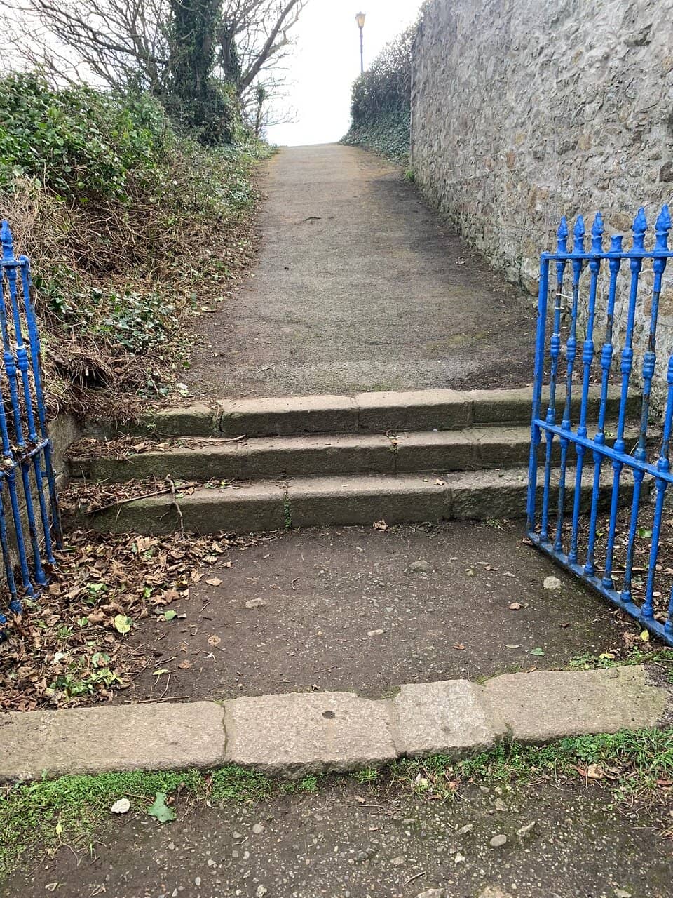 Picnic Spot Perfection