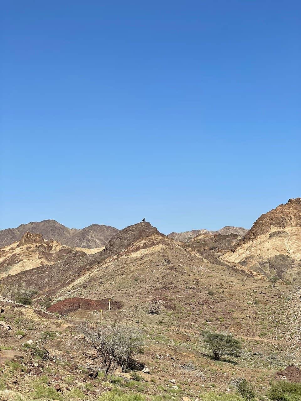 Scenic Wadi Views