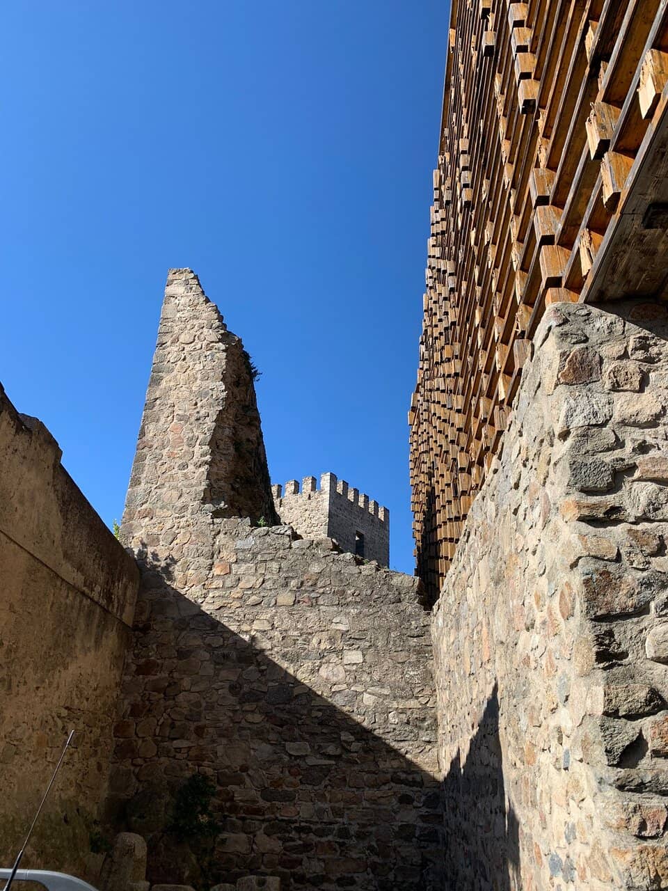 Vertical photo