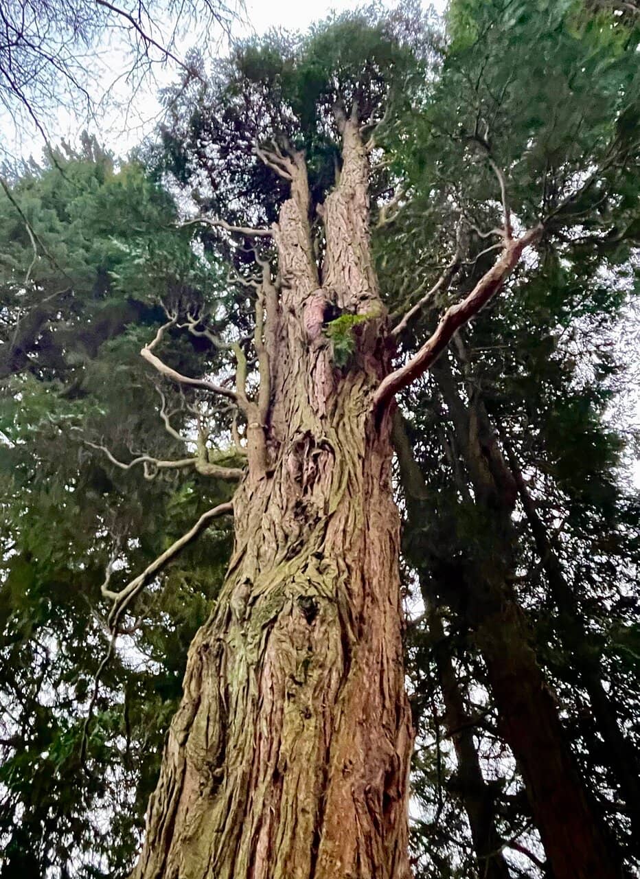 Expansive Woodlands & Grounds