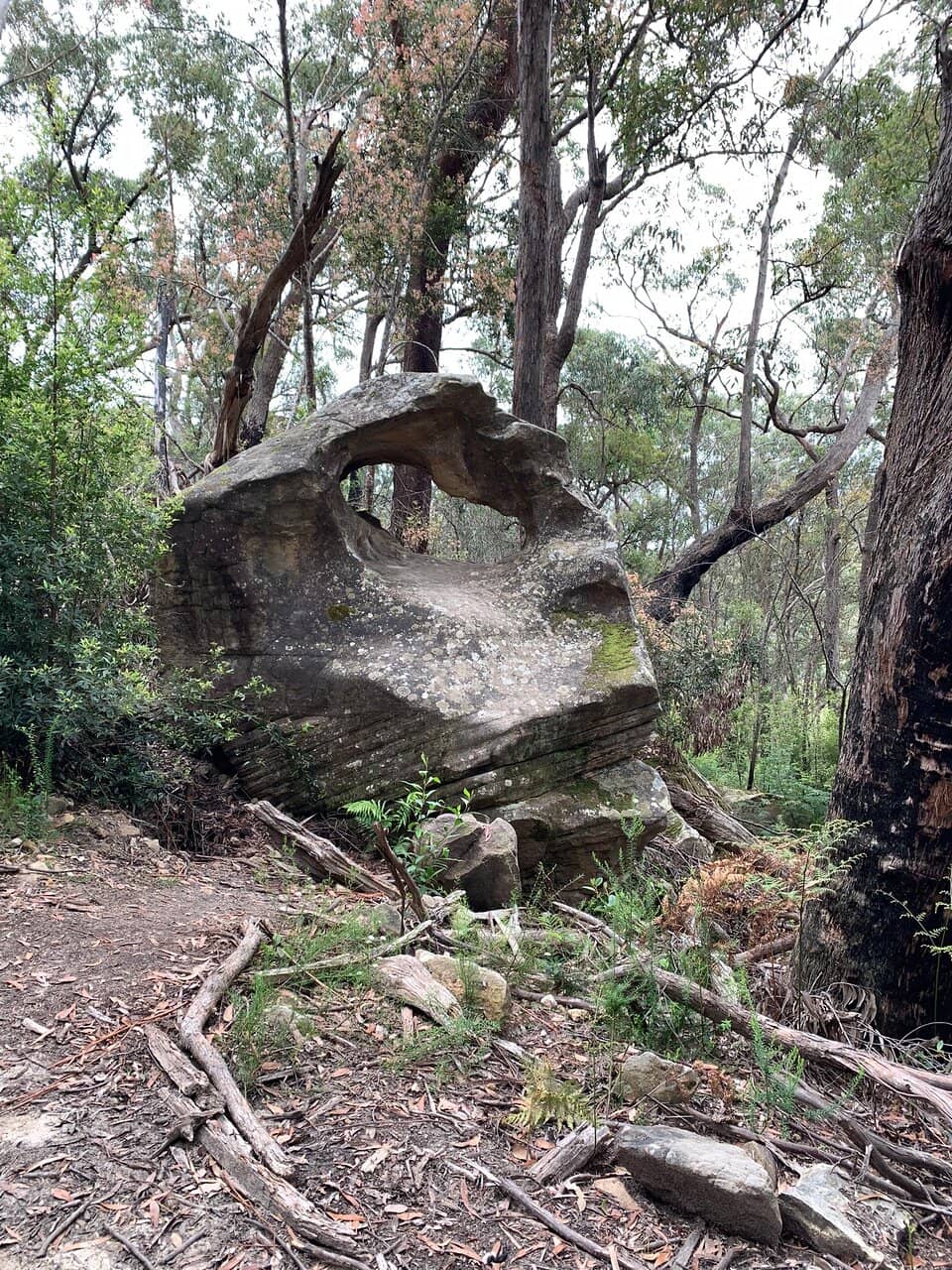 Bundanoon Creek Exploration
