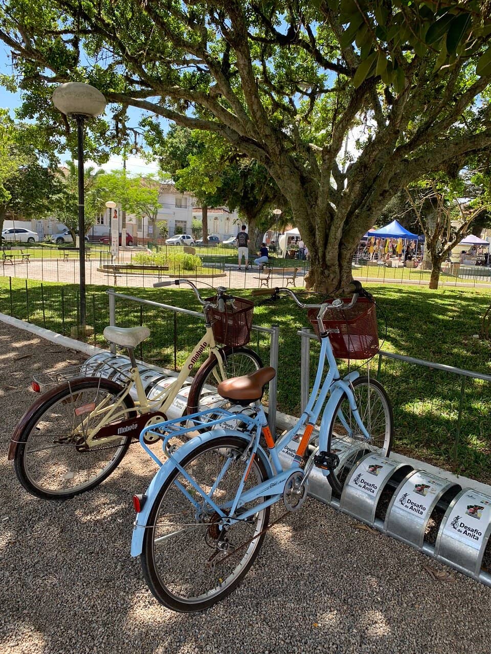 Mineral Water Source