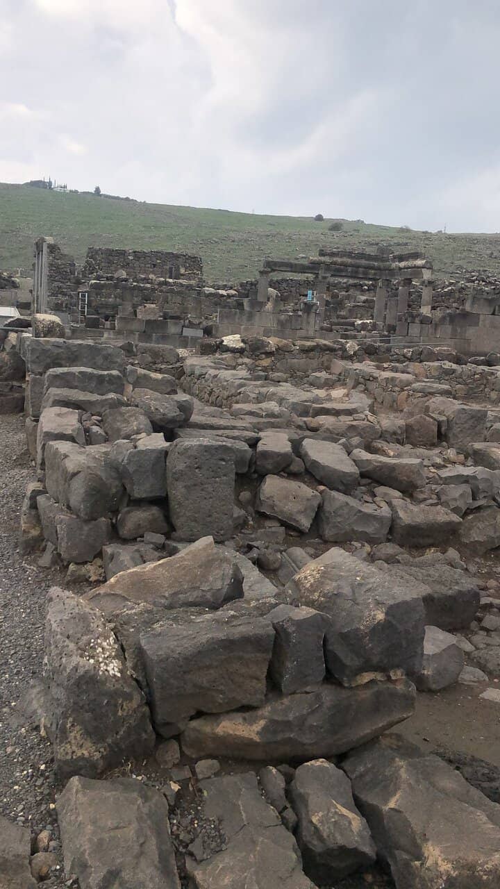 Grape Pressing Area
