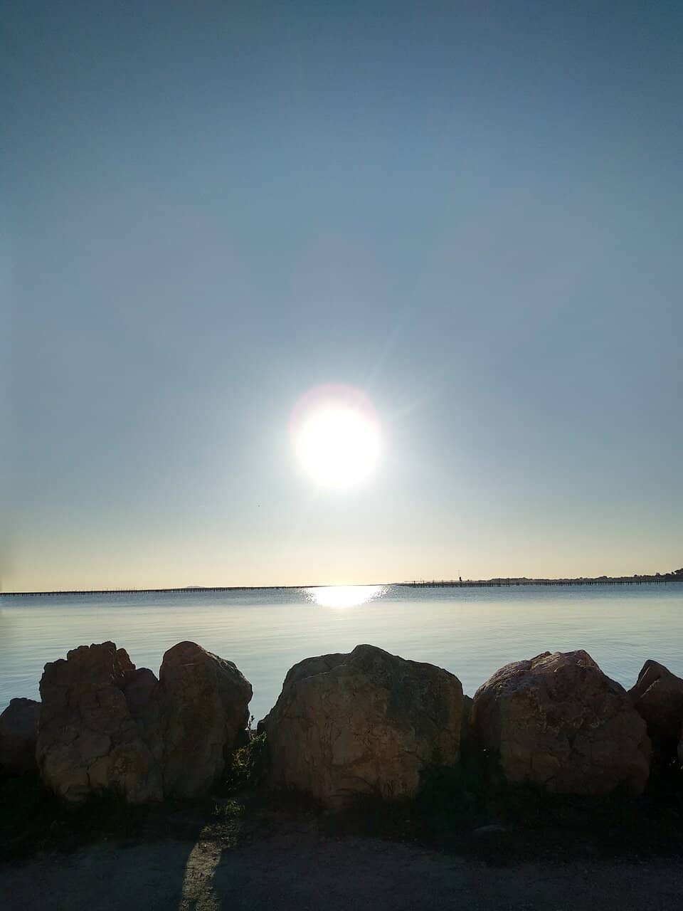 Vertical photo