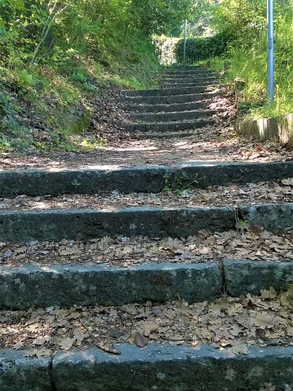 Vertical photo