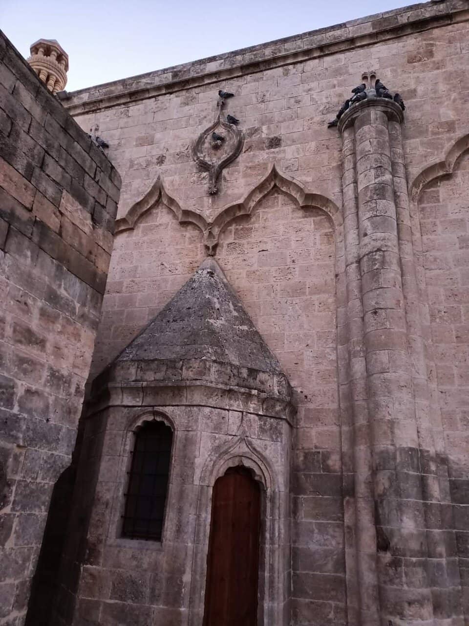 Vertical photo