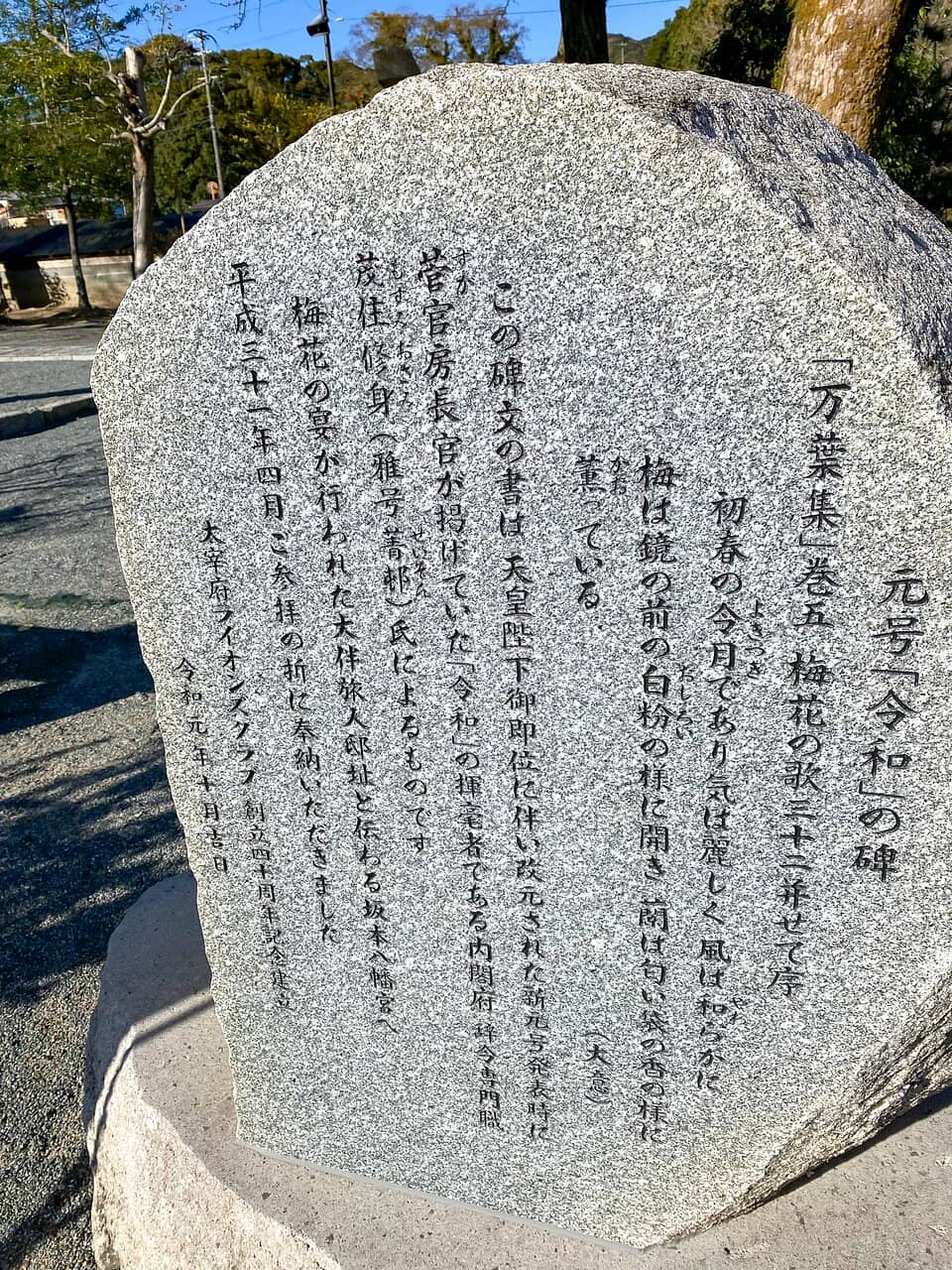 Tranquil Forest Setting