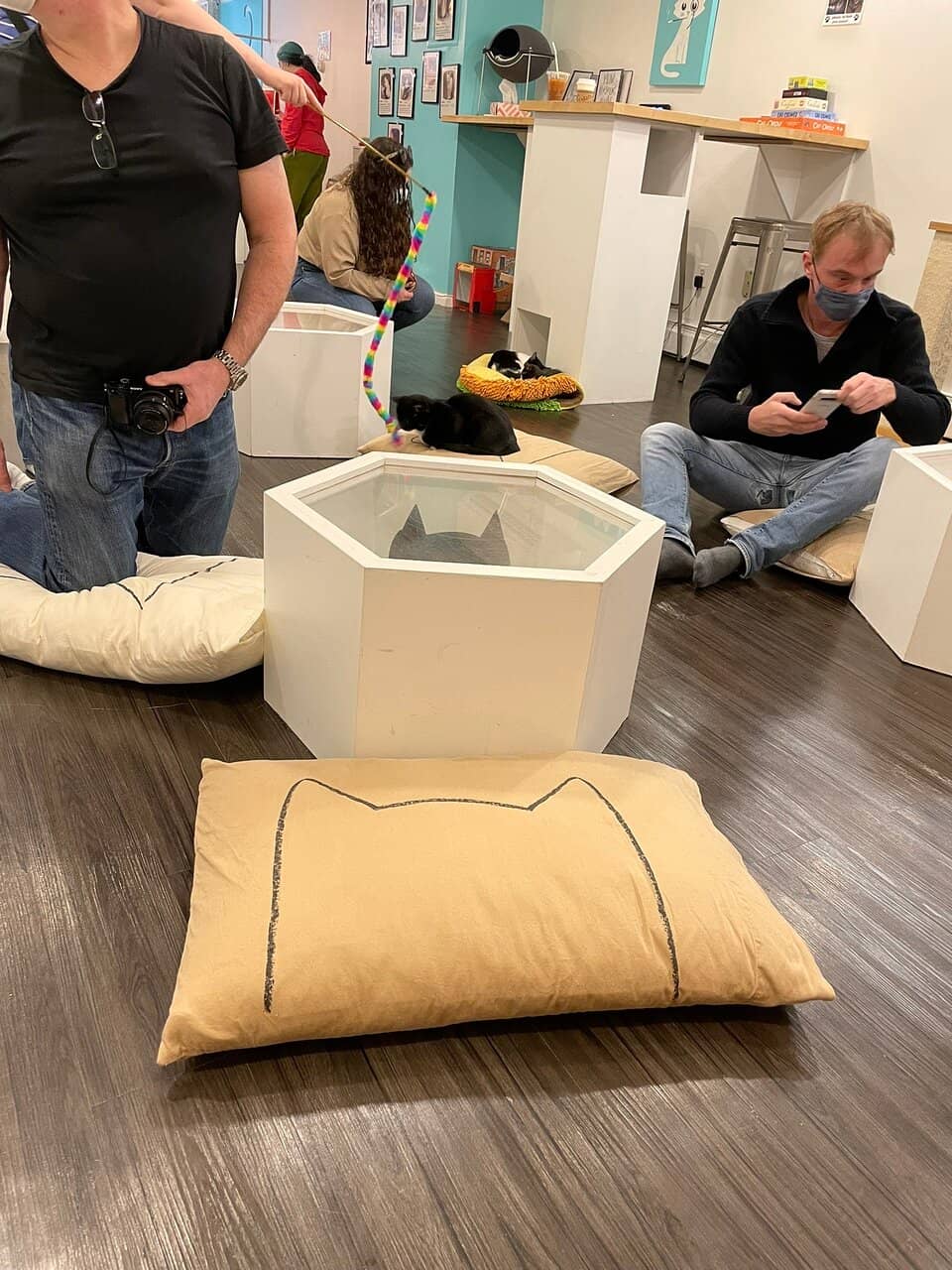 Adoption Opportunities