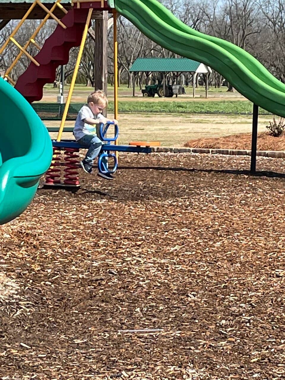 Fall Festival Fun
