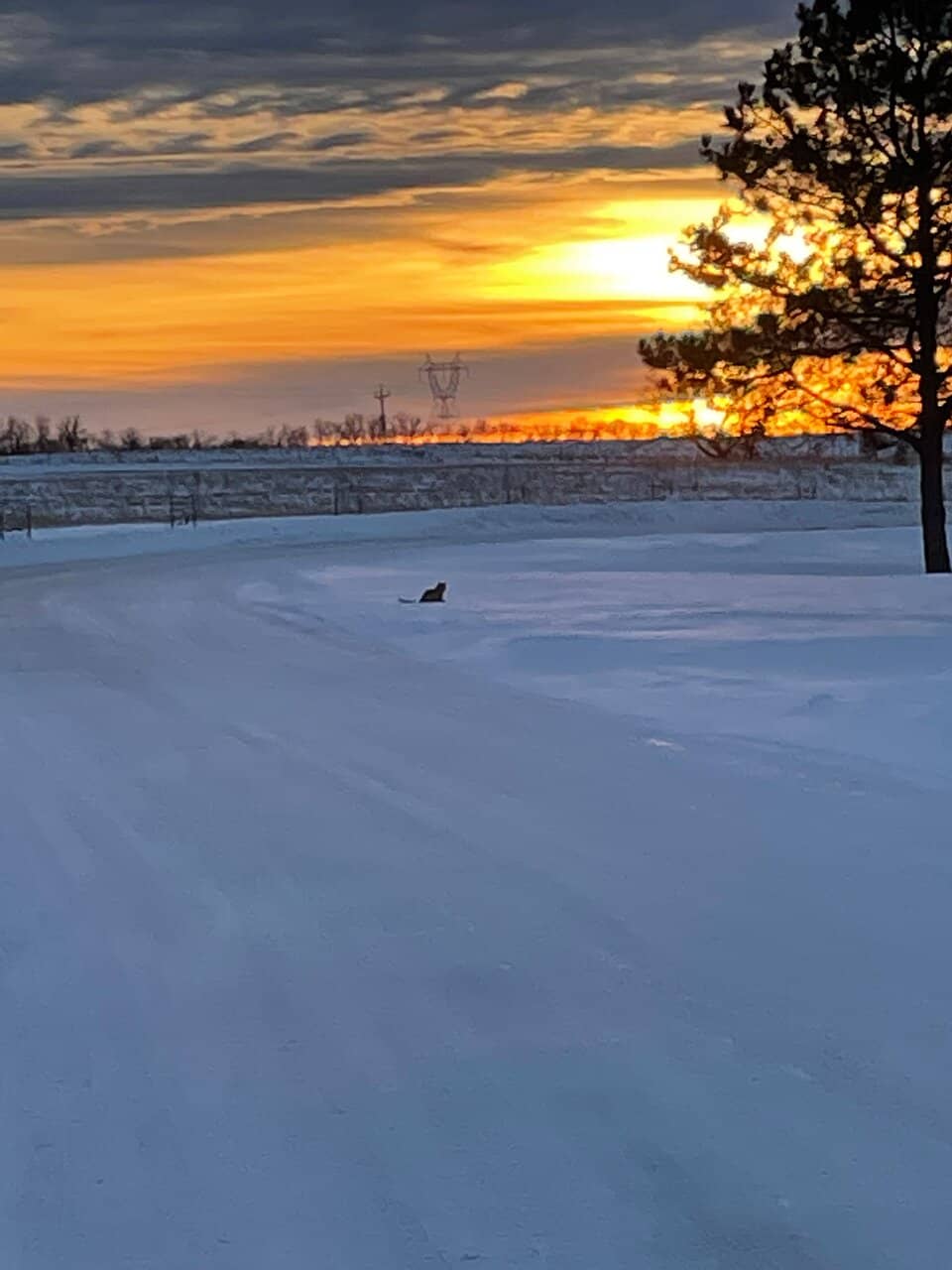 Scenic Lakeside Trails