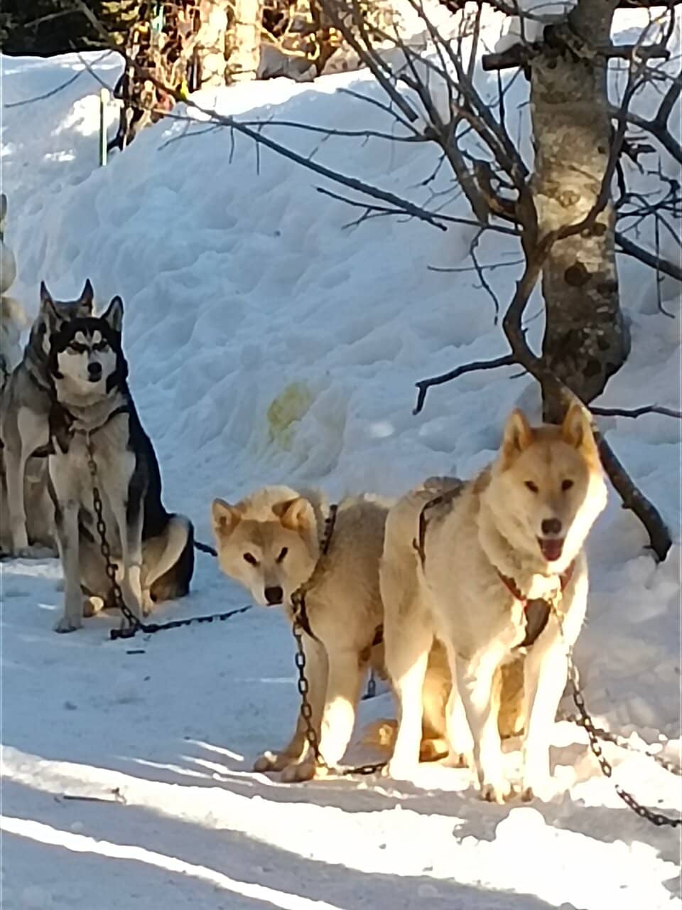 Scenic Mountain Biking