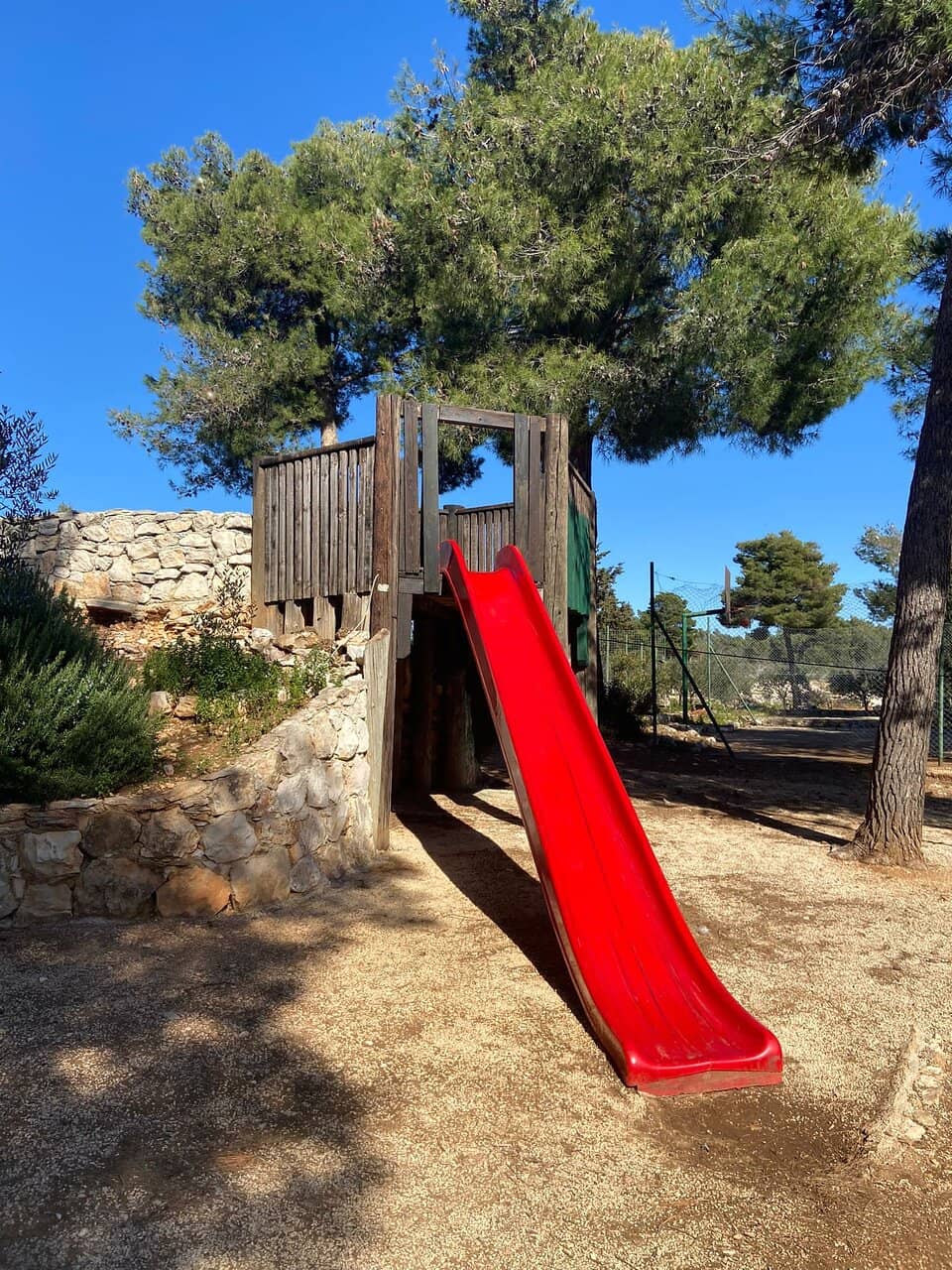 Vertical photo