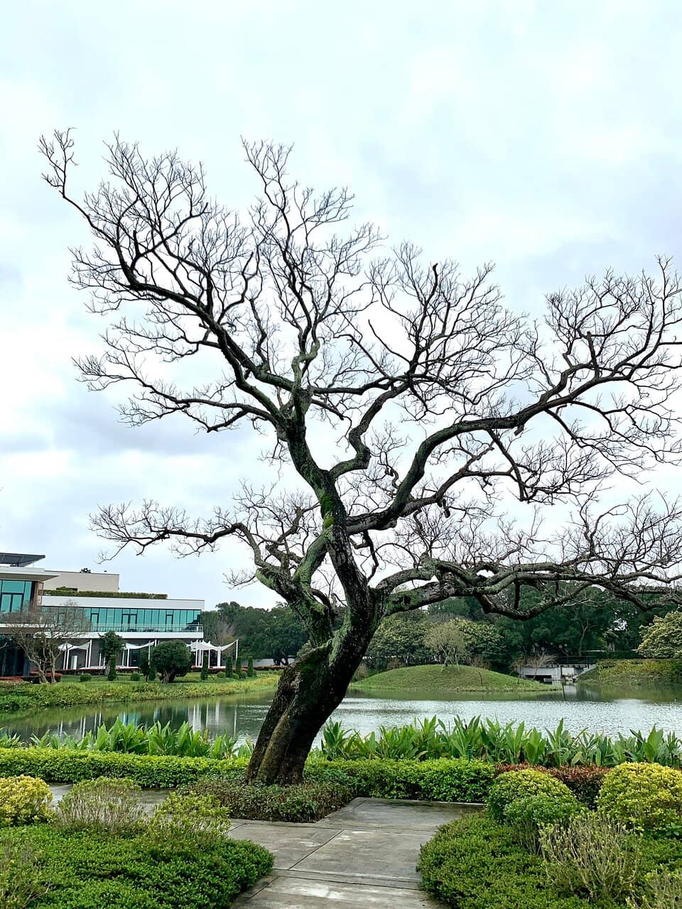 Vertical photo