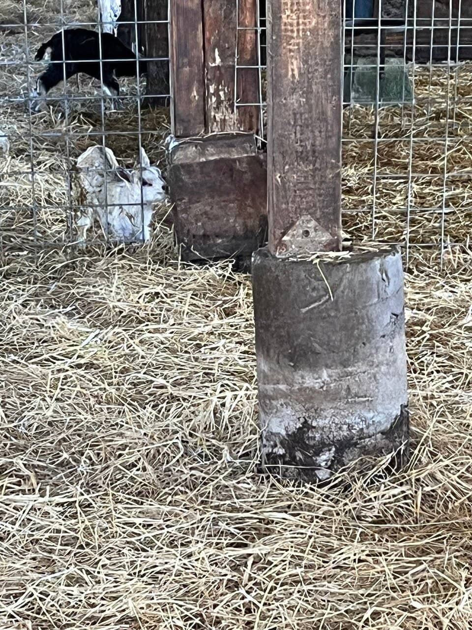 Farm Tours