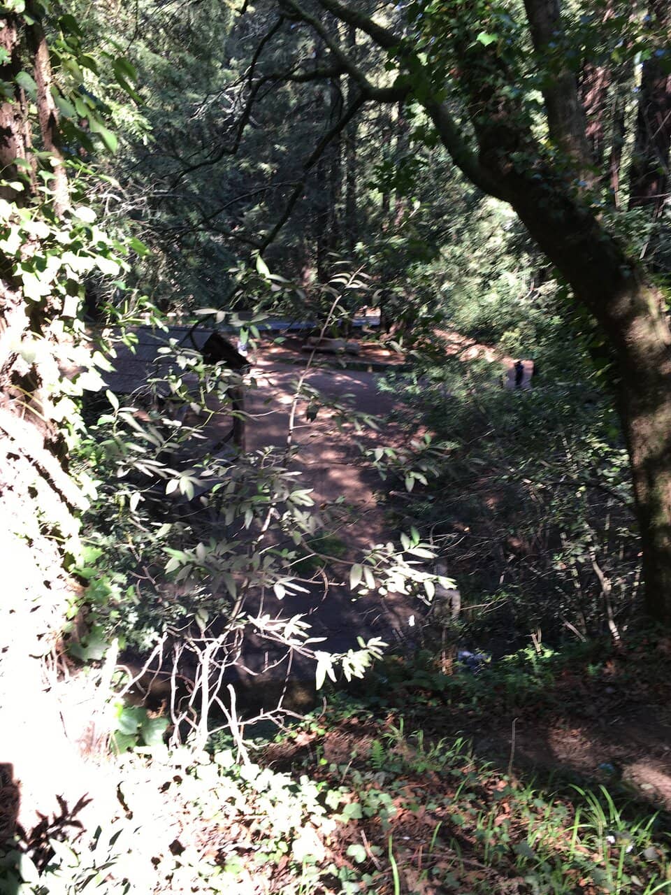 Playground & Picnic Spots