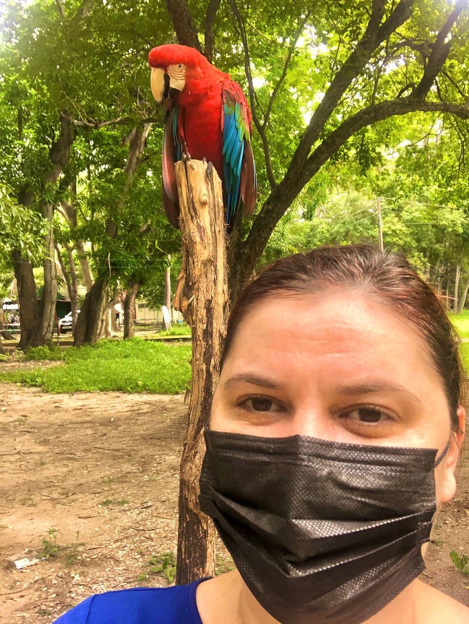 Zoological Encounters