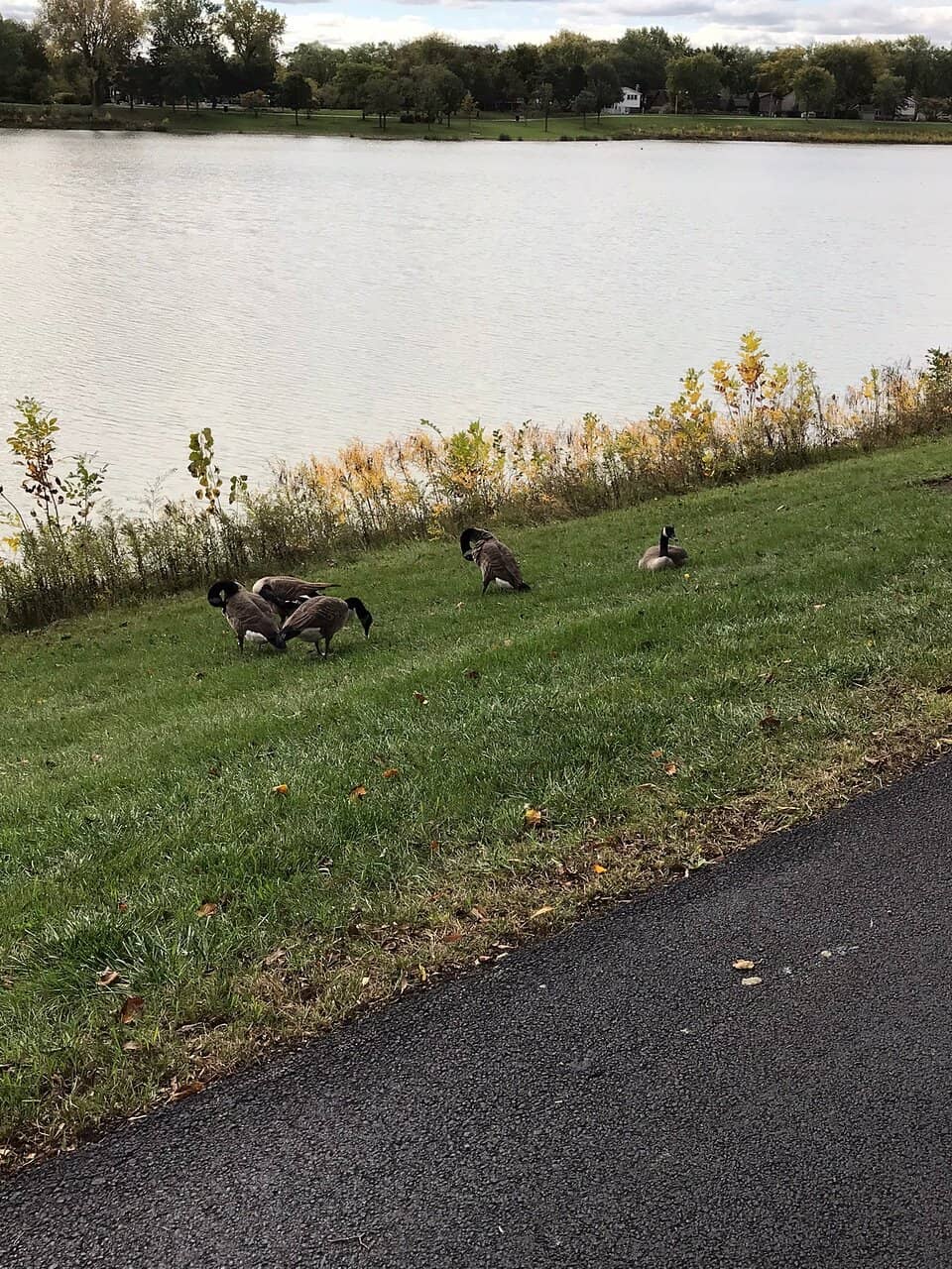 Kid-Friendly Play Area