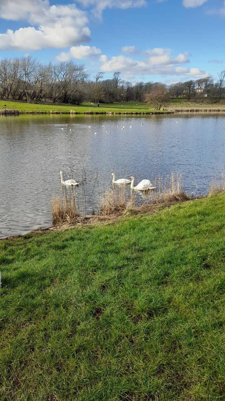 Wildlife Encounters