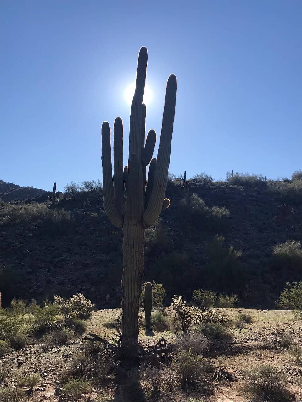 Piestewa Peak Summit
