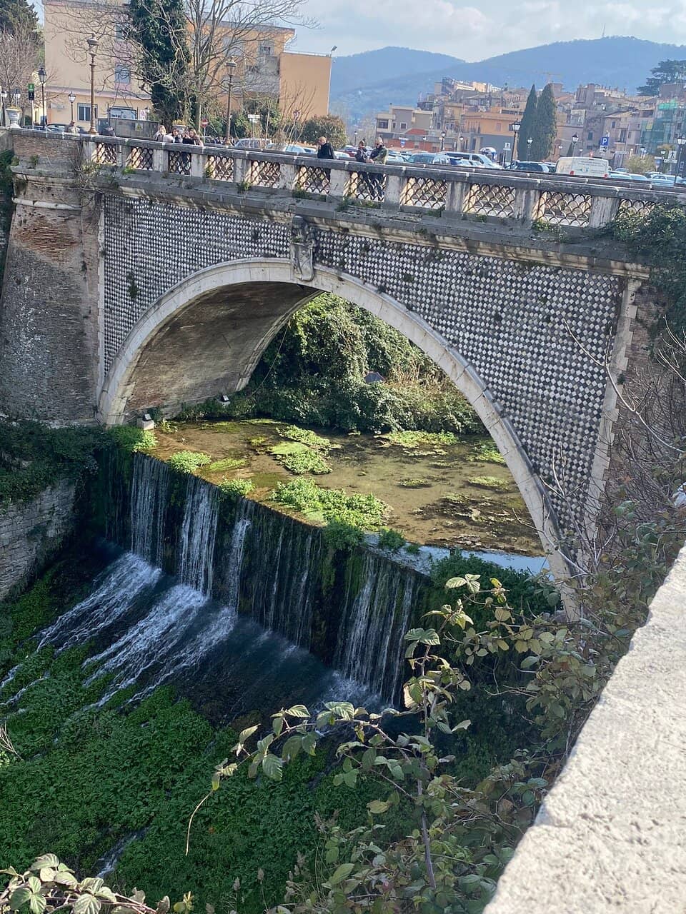 Illuminated Bridge Views
