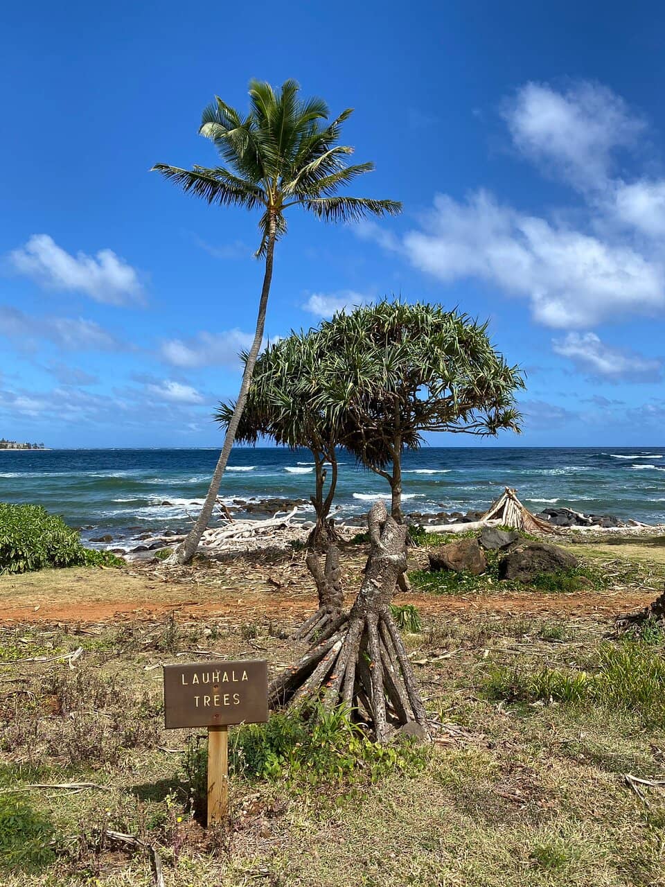 Protected Tide Pools