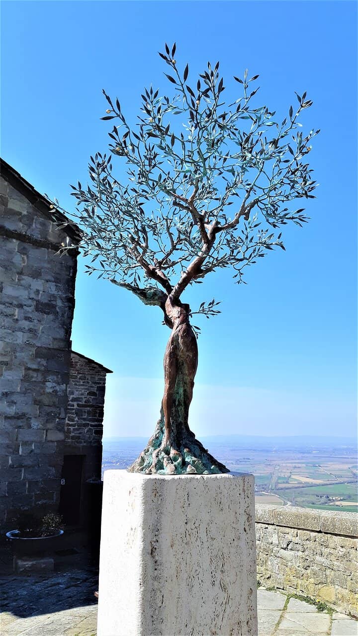 Vertical photo