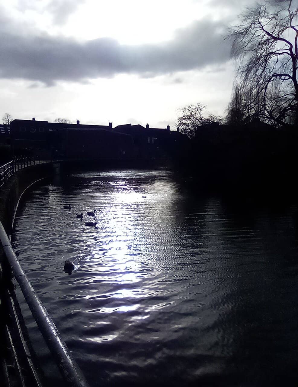 Paddleboarding Potential