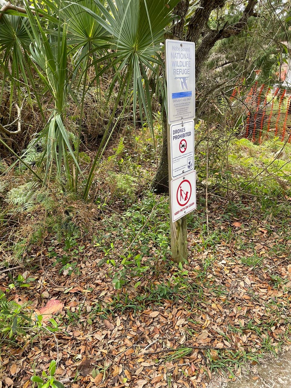 Hobe Sound Beach Access