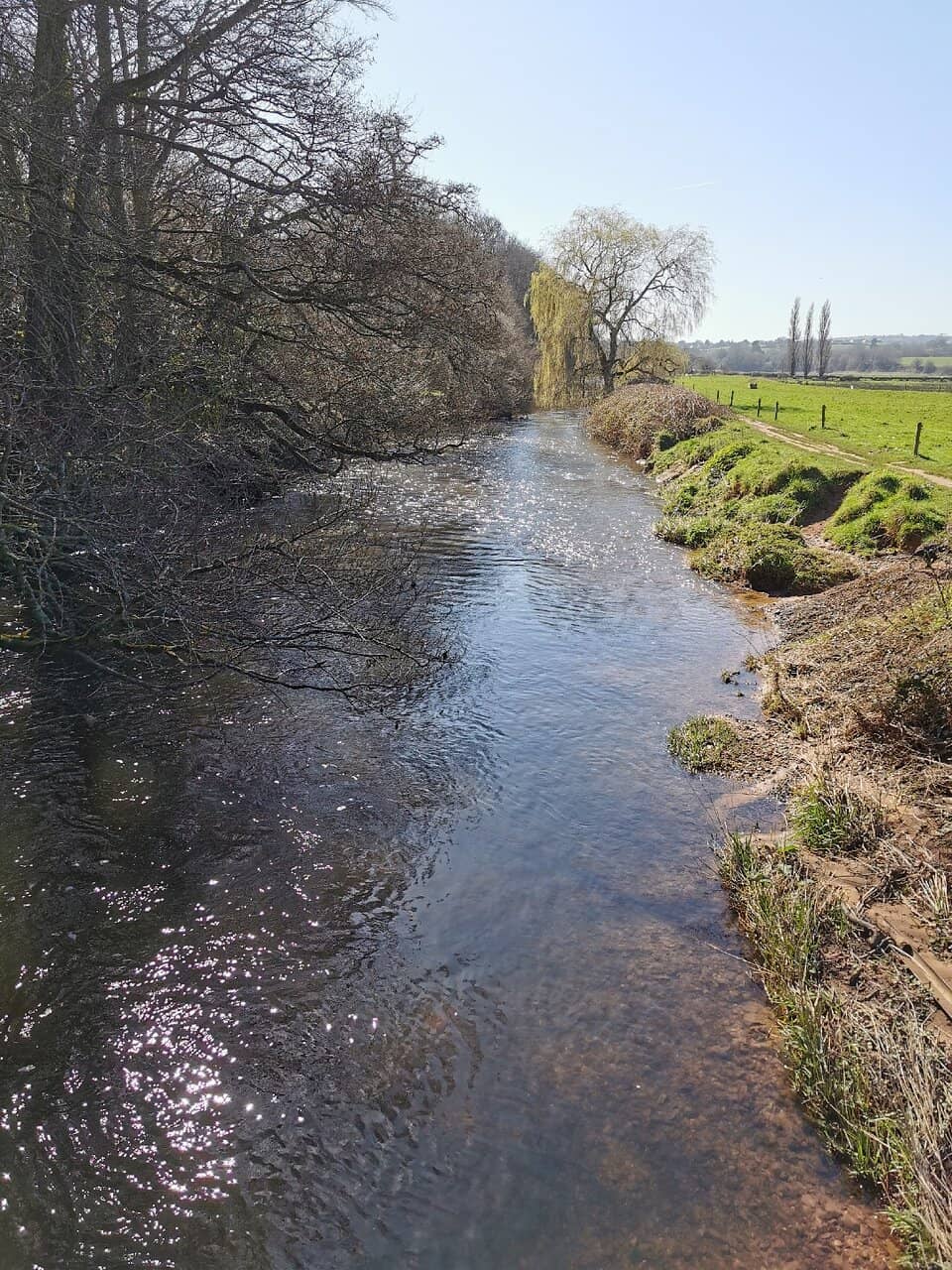 River Otter Walks