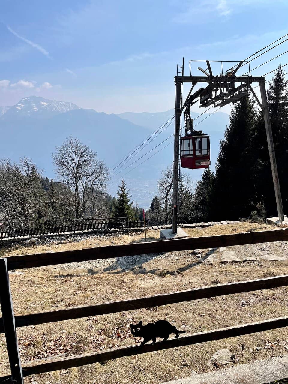 Vertical photo