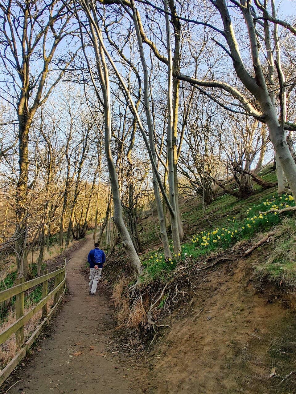 Riverside Ramble