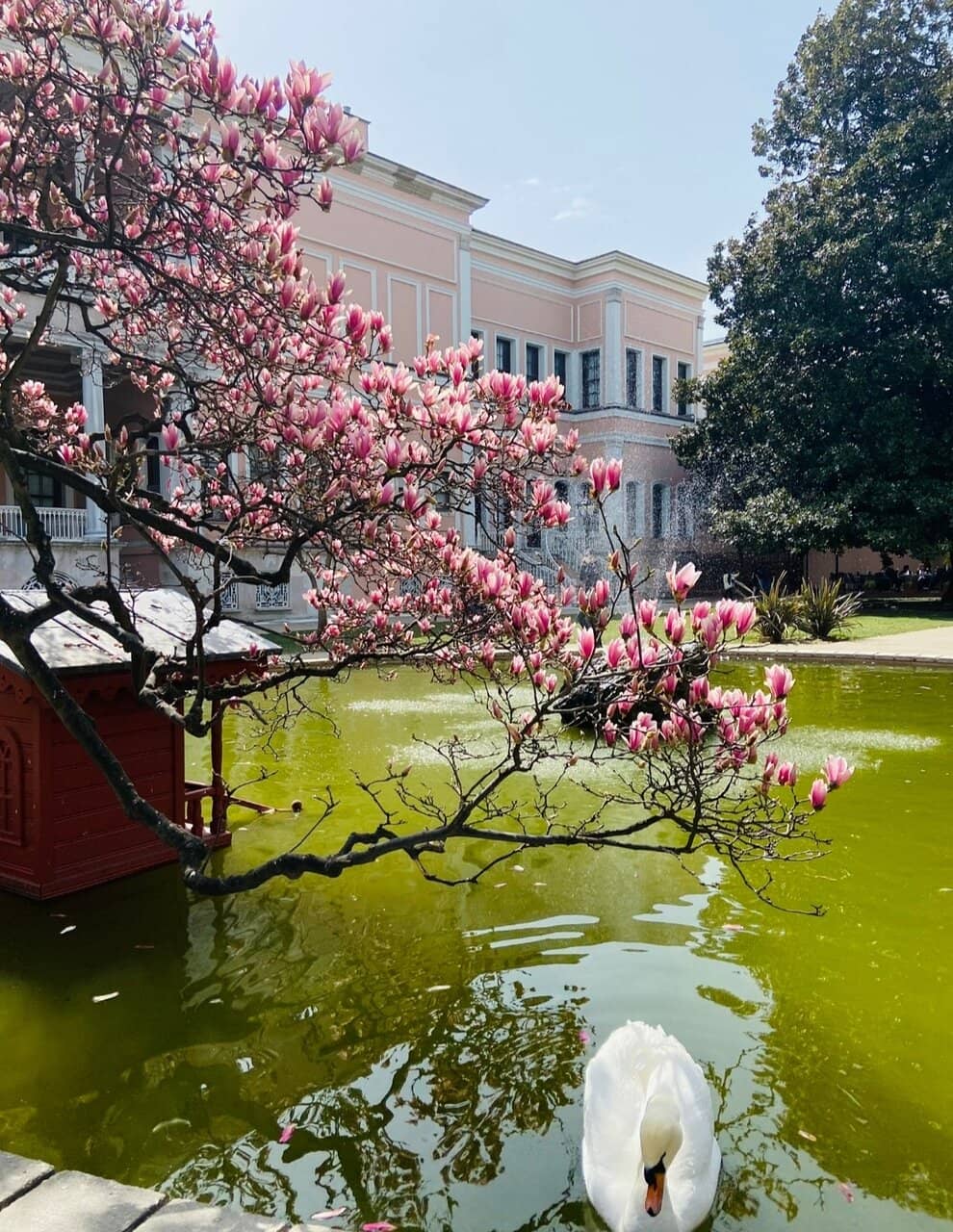 Modern Art Collection