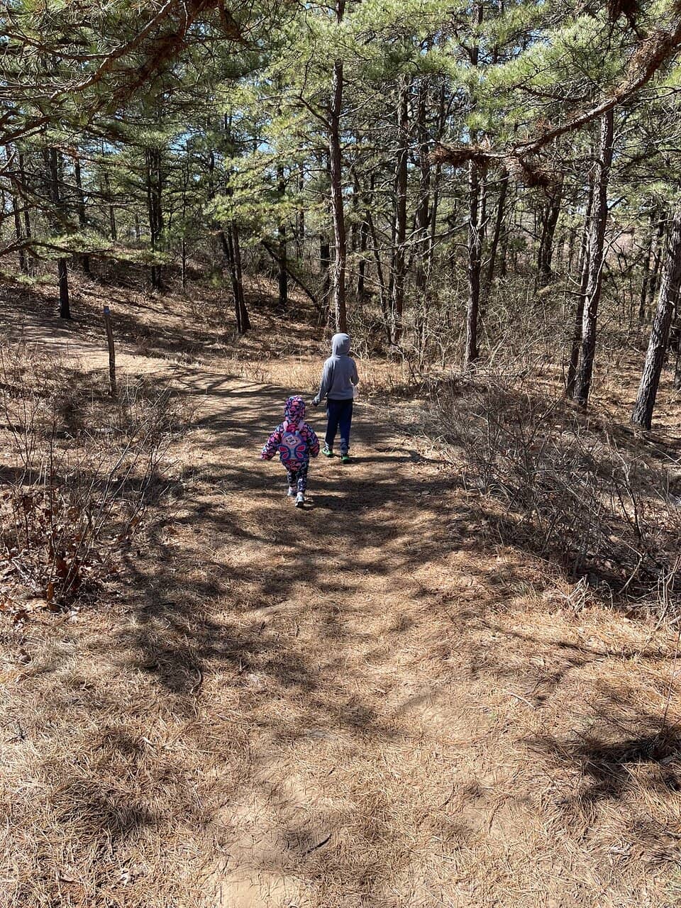 Karner Blue Butterfly Habitat