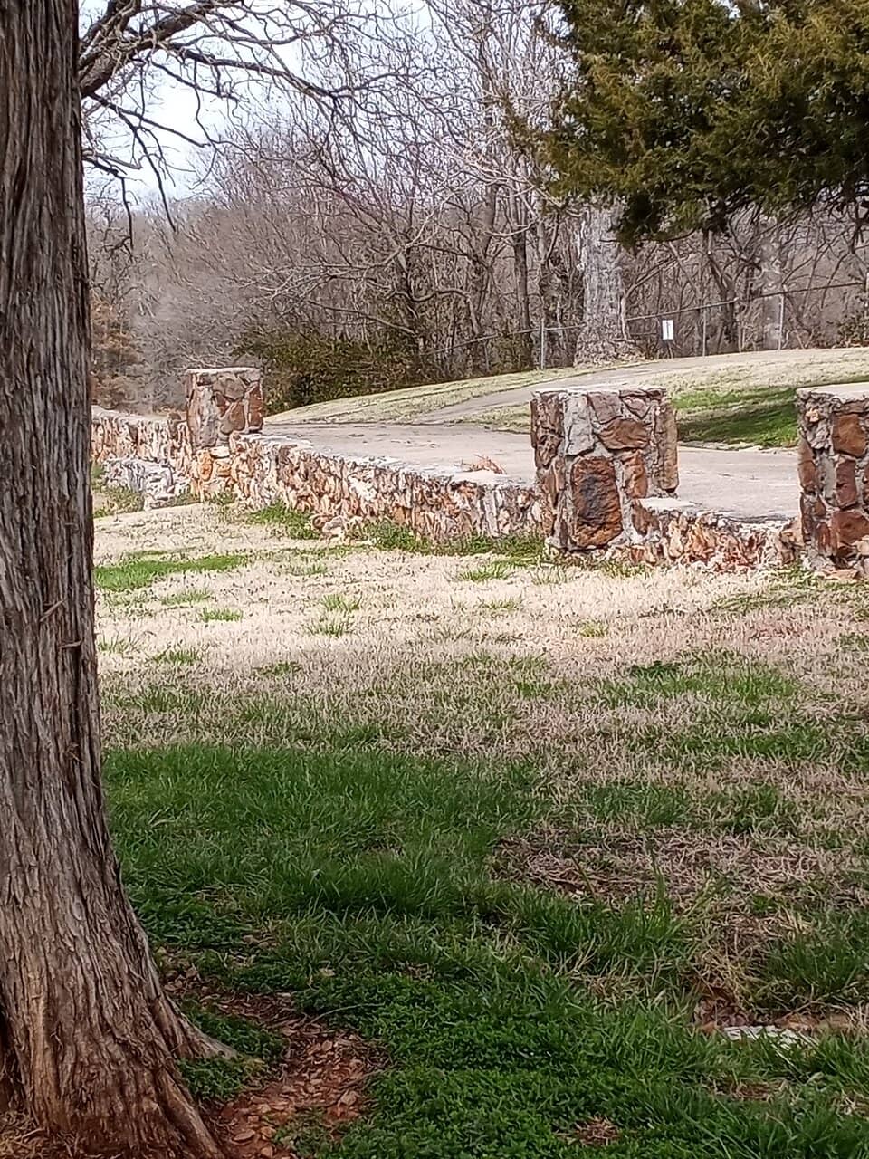 Scenic Walking Trails