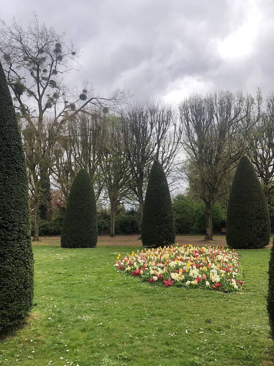 Dahlia Garden